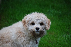 Lot's of changes in our barber shop this month....lot's of fun in our kid's salon as always!!